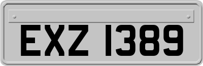 EXZ1389