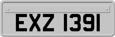 EXZ1391