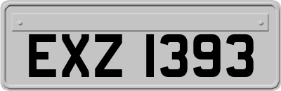 EXZ1393