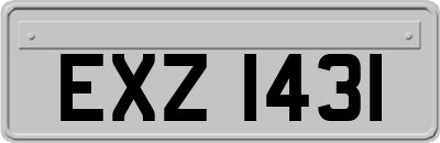 EXZ1431