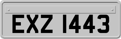 EXZ1443