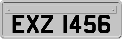 EXZ1456