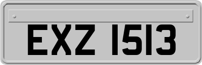 EXZ1513