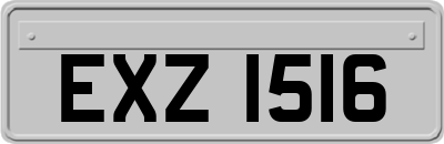 EXZ1516