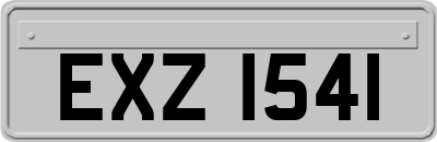 EXZ1541