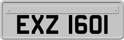EXZ1601
