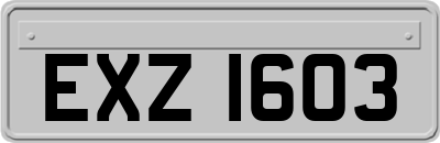 EXZ1603