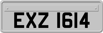 EXZ1614