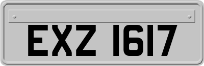 EXZ1617