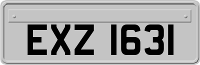EXZ1631