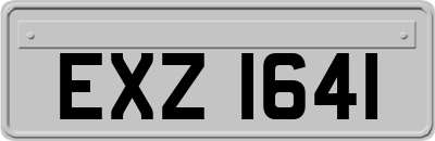 EXZ1641