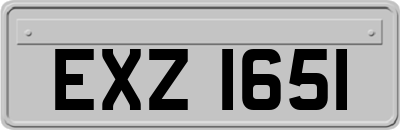 EXZ1651