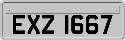 EXZ1667