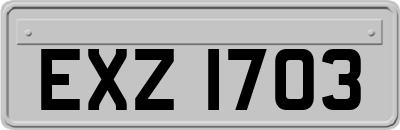 EXZ1703