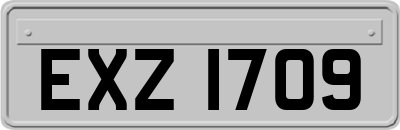 EXZ1709