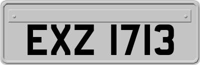 EXZ1713