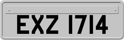 EXZ1714