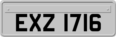 EXZ1716