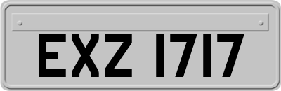 EXZ1717