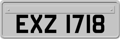 EXZ1718