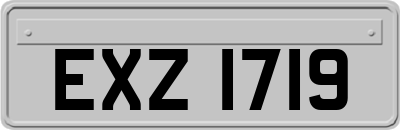 EXZ1719