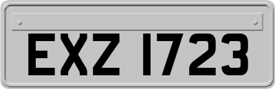 EXZ1723