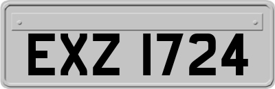 EXZ1724