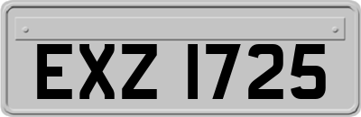 EXZ1725