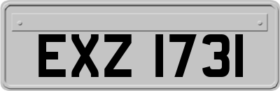 EXZ1731