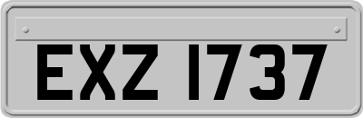 EXZ1737