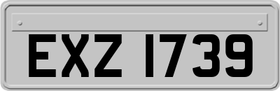 EXZ1739