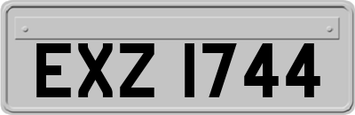 EXZ1744