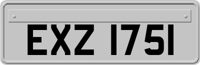 EXZ1751