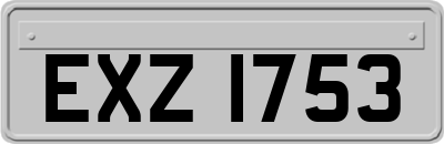 EXZ1753