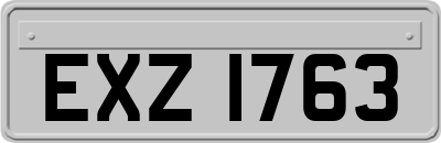 EXZ1763
