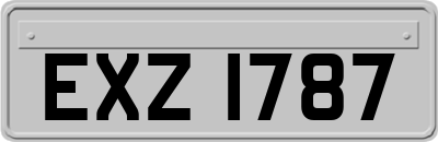 EXZ1787