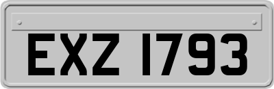 EXZ1793