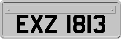 EXZ1813