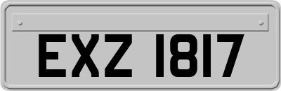 EXZ1817