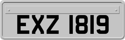 EXZ1819
