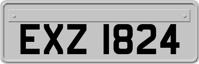 EXZ1824