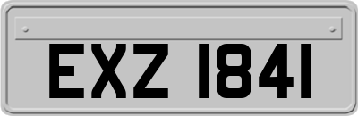 EXZ1841
