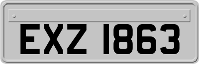 EXZ1863
