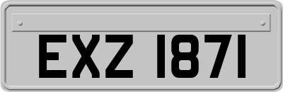 EXZ1871