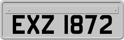 EXZ1872