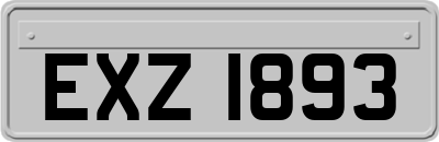 EXZ1893