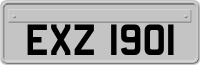 EXZ1901