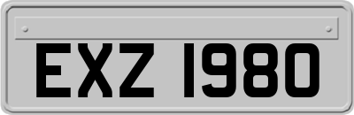 EXZ1980