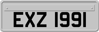 EXZ1991