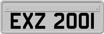 EXZ2001